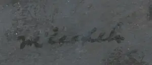 Jan Miechels - Lot van vijf originele werken kopen? Bied vanaf 1!