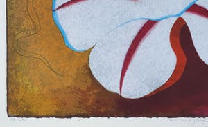 Jan van Delft - Morning glory I | Ingelijst kopen? Bied vanaf 55!