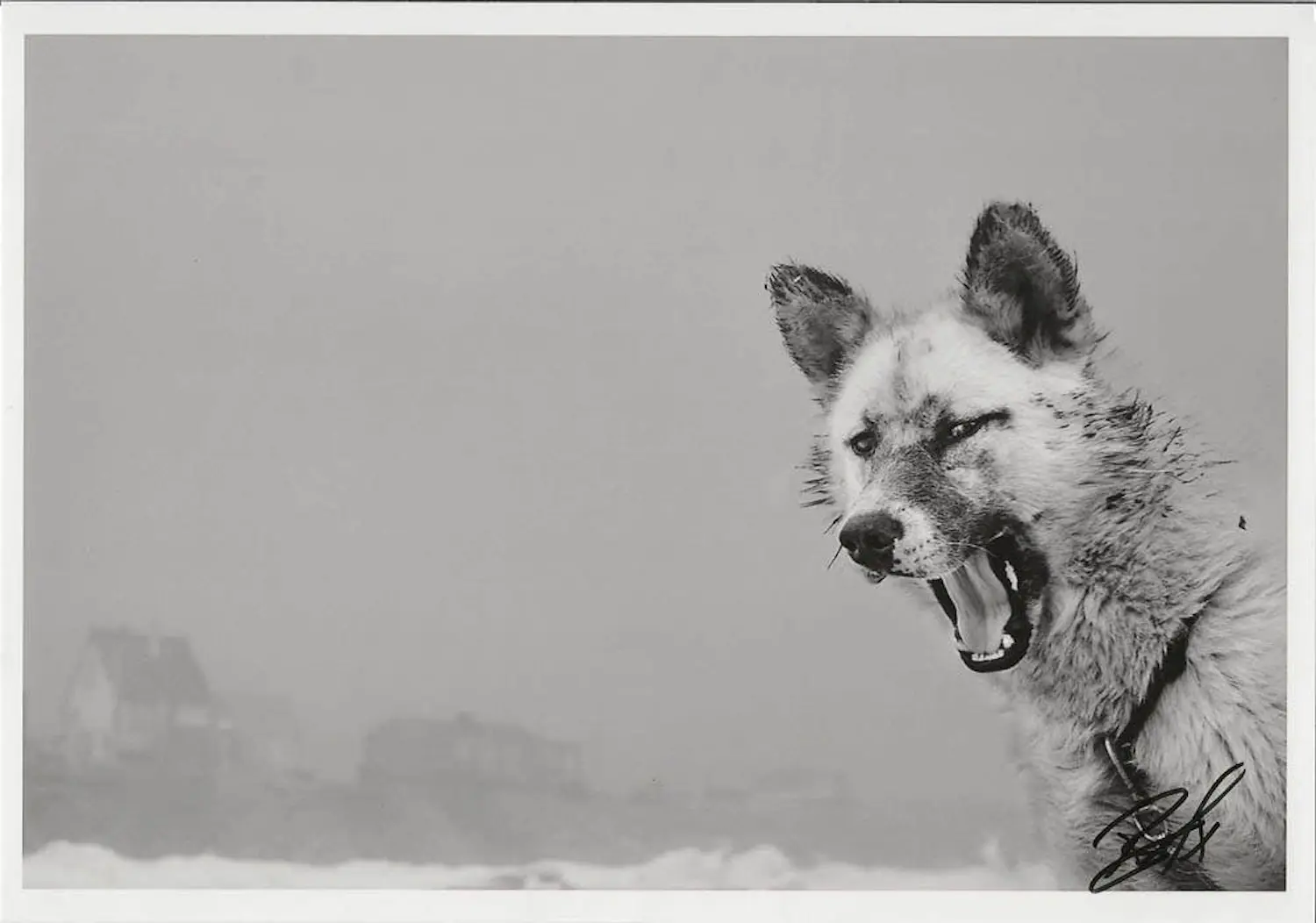 Ragnar Axelsson (1958)