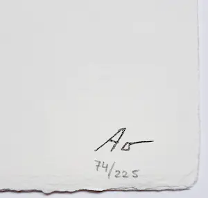 Armando - Zichzelf, uitgave met 2 genummerde litho’s kopen? Bied vanaf 250!