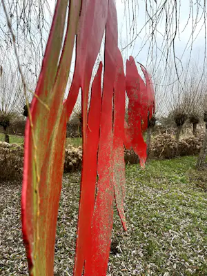 Bruno Guiheneuf - Rood stalen abstract buitenobject kopen? Bied vanaf 1000!