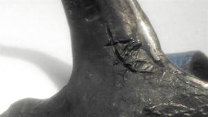 Bernadette Leijdekkers - Vogel als geluksbrenger kopen? Bied vanaf 34!