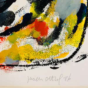 Jeroen Olthof - (Facing) Ireland kopen? Bied vanaf 30!