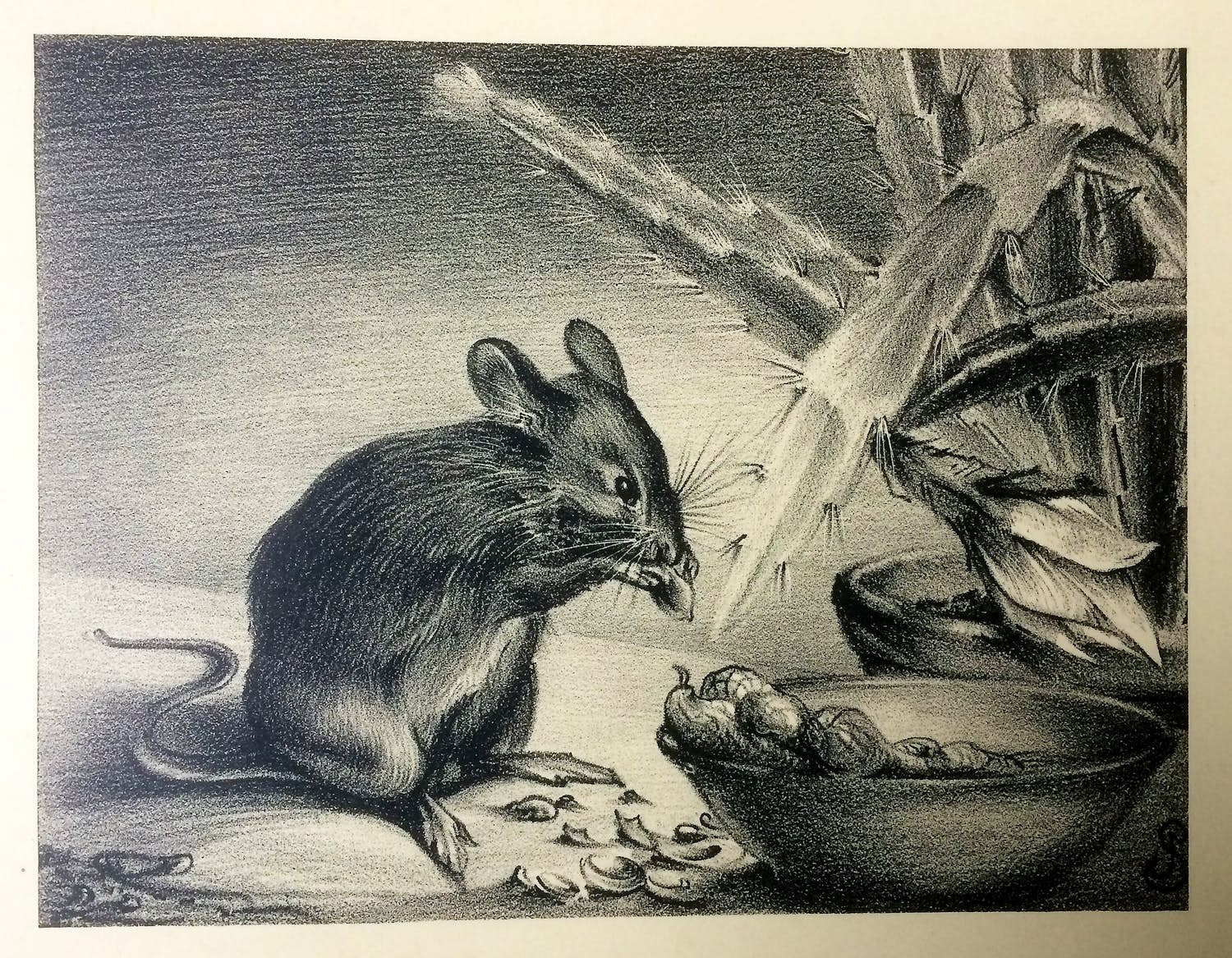 Jan Schonk - Litho "Muis" 1929 verkocht voor € 45!