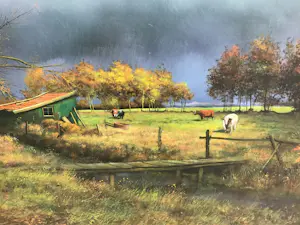 Onbekend - Hollands platteland kopen? Bied vanaf 50!