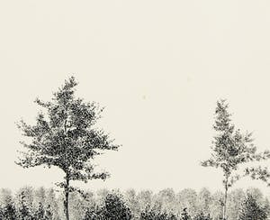 Joop Vegter - Pentekening, Houtwal bij Sandenburgerlaan, Doorn kopen? Bied vanaf 120!