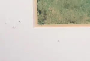 Jan Montyn - Kleurenets, Zonder titel - Ingelijst kopen? Bied vanaf 60!