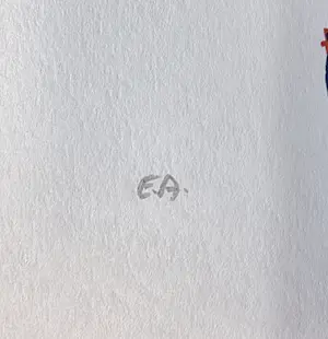 Herman Brood - Kookkunst - zeefdruk - EA kopen? Bied vanaf 60!