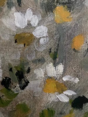 Henri Joseph Pauwels - Kamille kopen? Bied vanaf 55!