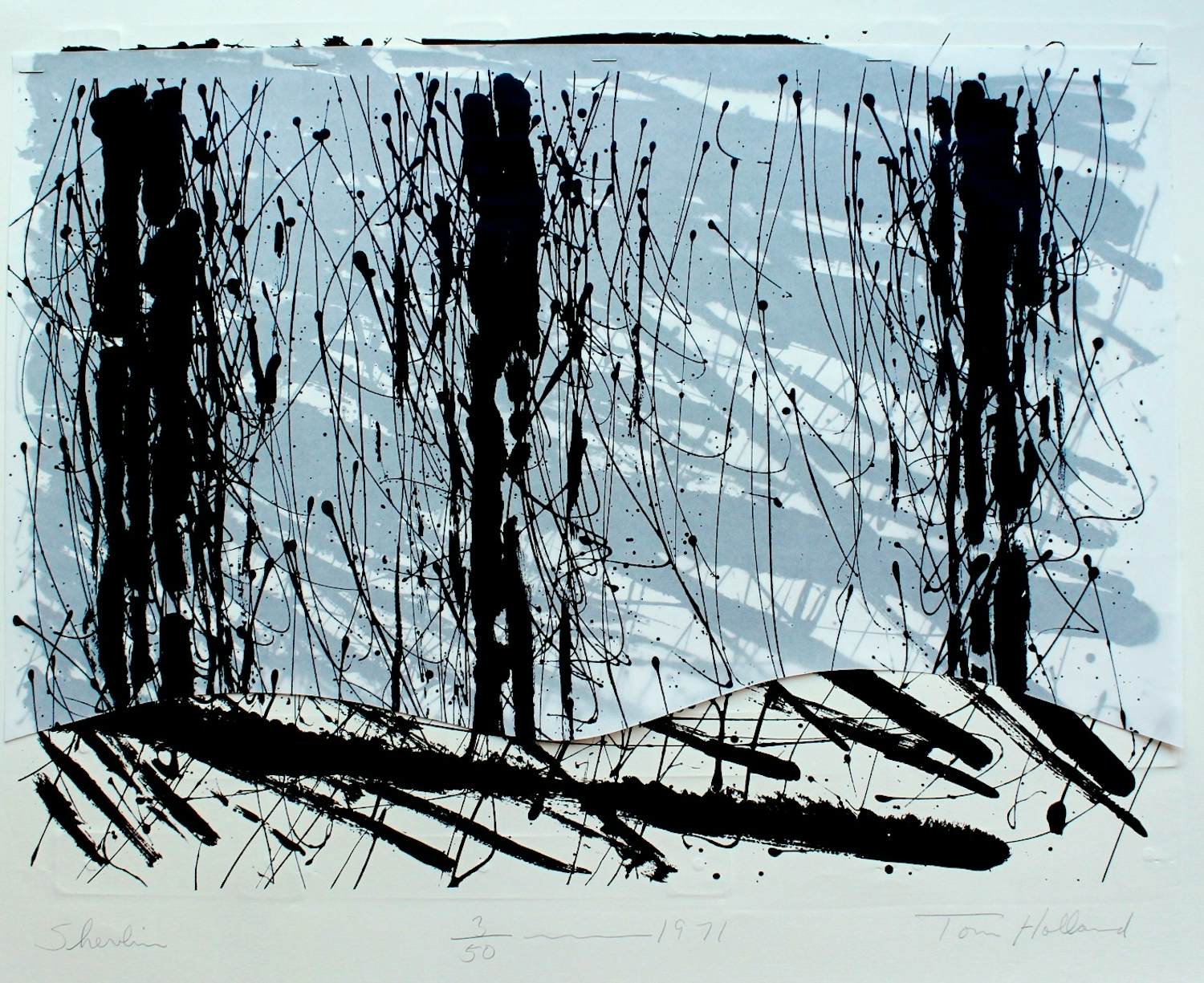 Tom Holland - "Shevlin" - Lithographie-Collage - Auflage von 50 - handsigniert kaufen? Bieten Sie von 289!