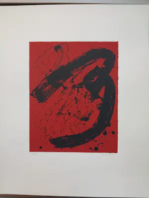 Luc Hoenraet - COLOFON RED/BLACK kopen? Bied vanaf 280!