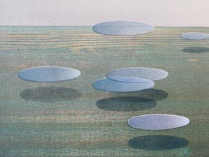 Willem de Vries - houtsnede | 'Magnetisch landschap' | 1990 kopen? Bied vanaf 75!