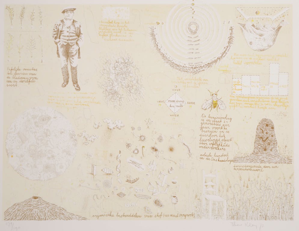 Theo Kley - Theo Kley: Litho, De bananenvlieg kopen? Bied vanaf 1!