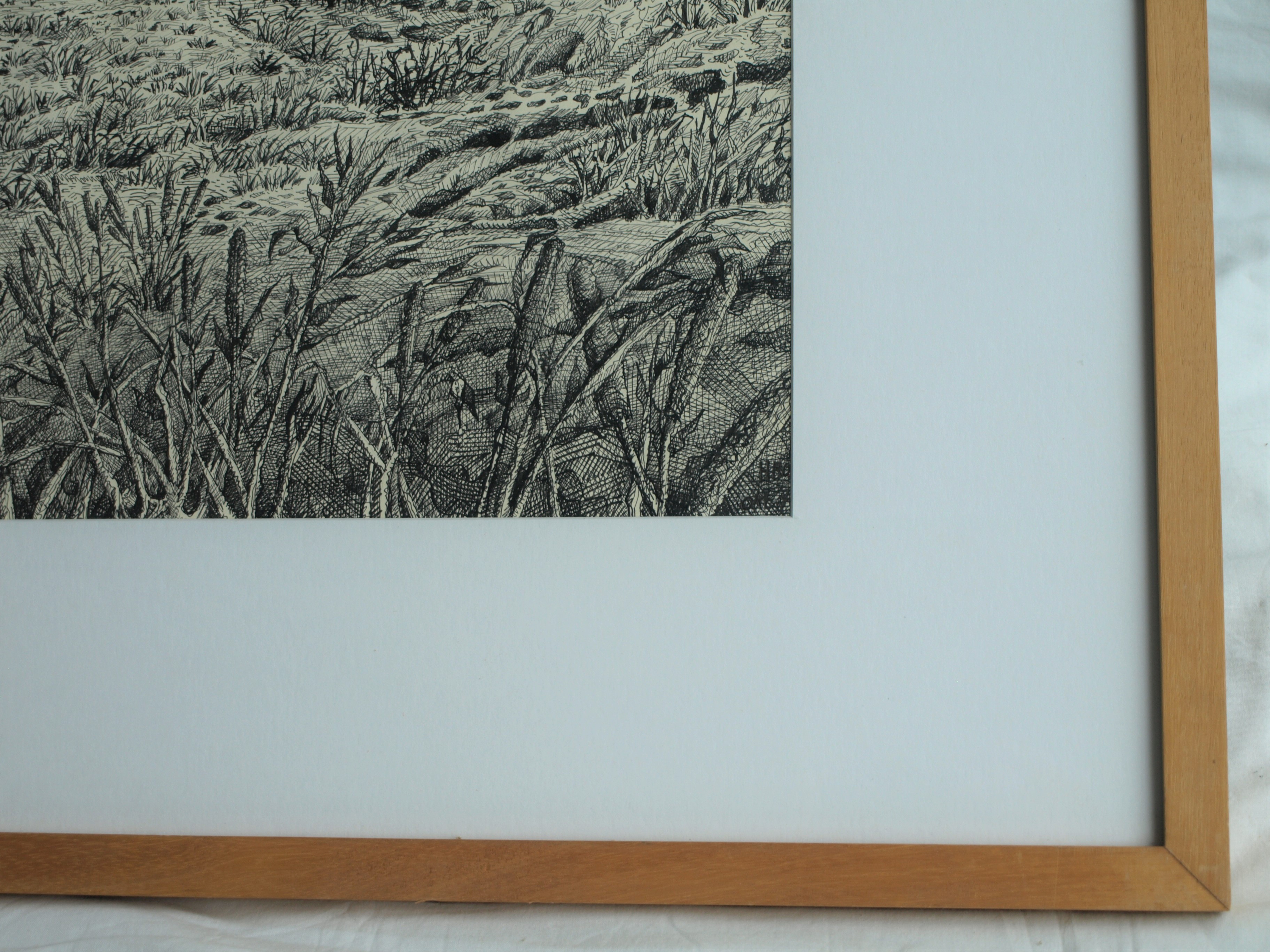 Hans Boon - Pentekening , Duinlandschap – gesigneerd & ingelijst – ca 1977  kopen? Bied vanaf 1!