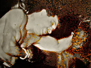 Niet of onleesbaar gesigneerd - Bewerkte bob van Dam fotoserie bokswedstrijd bep van Klaveren 1955 kopen? Bied vanaf 1!