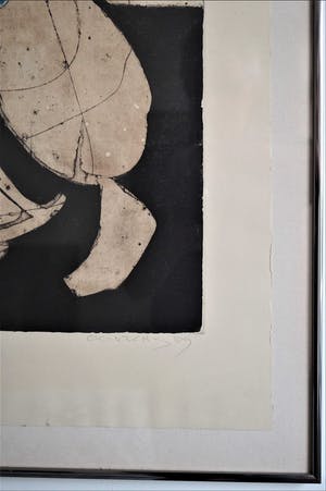 Cees Kortlang - Handgesigneerde kleurenets “Learning to fly” (1989) 7 /50 in metalen lijst kopen? Bied vanaf 75!