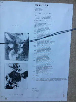 Hans Lie - Torso achtig figuur kopen? Bied vanaf 375!