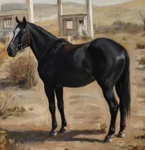 Mr. Strange - Kwijt kopen? Bied vanaf 90!