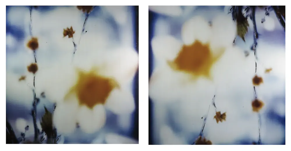 Koen Blanckaert (1961)