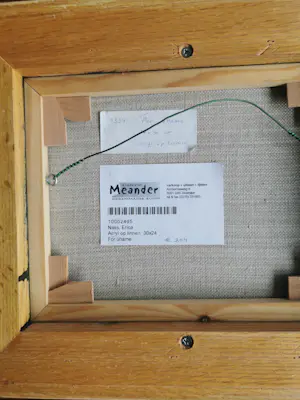 Erica Nass - For shame kopen? Bied vanaf 150!