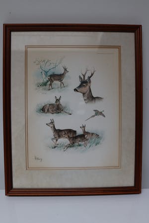 George Frederic Rotig - Cerf avec chevreuil et faisan kopen? Bied vanaf 50!