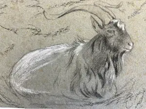 Anton Mauve (sr.) - Rustende geit kopen? Bied vanaf 110!