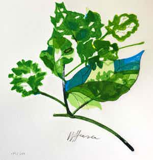 Willem Heesen - zonder titel verkocht voor € 75!