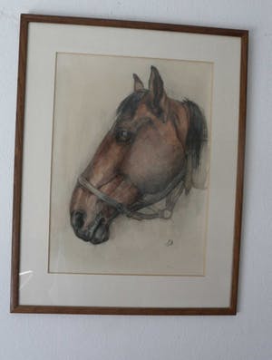 Tini van Doornik - Pastel/Krijt. Paardenhoofd. kopen? Bied vanaf 15!