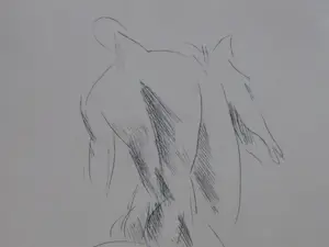 Edwin Scharff - Paard en ruiter - Litho kopen? Bied vanaf 1!