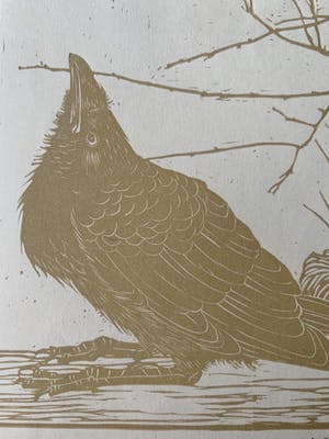 Jan Mankes - Houtsnede: “Kraai omhoogkijkend naar mugje” kopen? Bied vanaf 425!