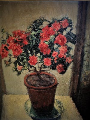 Niet of onleesbaar gesigneerd - GROOT omstreeks 1930 geschilderd stilleven van Rode potplant kopen? Bied vanaf 10!