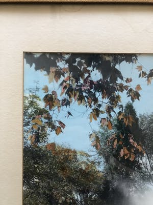 Geoffrey Cameron Wood - Moller Fountain – Nelson kopen? Bied vanaf 5!