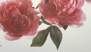 Paul Huf - C-print - 'Peonies' - 1988 (INGELIJST) kopen? Bied vanaf 150!