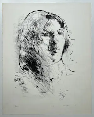 Jaap Hillenius - handgesigneerde litho | Uitgave 'De Luis' | 'XI 1970' kopen? Bied vanaf 50!