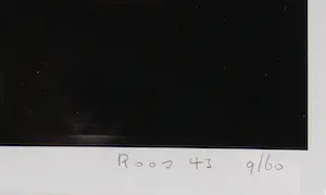 Bert Houweling - Roos 43 kopen? Bied vanaf 15!