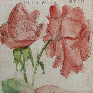 Arja van den Berg - ets: herfstrozen uit de tuin - 1984 kopen? Bied vanaf 49!