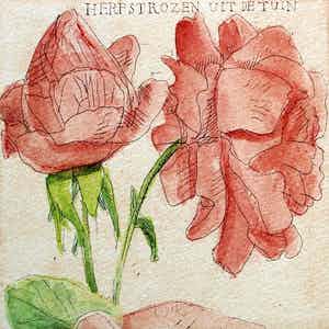 Arja van den Berg - ets: herfstrozen uit de tuin - 1984 verkocht voor € 49!