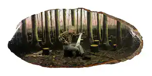 Teun Hocks - Digitale print op natuurhout, De zingende zaag - Ingelijst verkocht voor € 400!