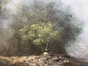 Harry Zeegers - Zonder titel kopen? Bied vanaf 1!