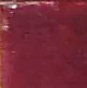 Ada Breedveld - Olieverf op doek, Special offer - Ingelijst (Groot) kopen? Bied vanaf 200!