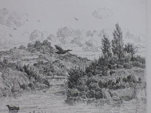 Gerard Lutz - Duinlandschap met vogels en fazant - Ets kopen? Bied vanaf 1!