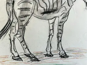 Cornelis Jan Mension - Tekening van een zebra, gemaakt in Artis kopen? Bied vanaf 80!