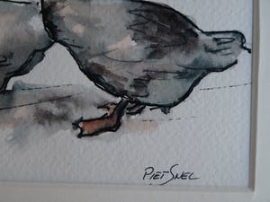 Piet Snel - 2x Aquarel , Ganzen kopen? Bied vanaf 35!