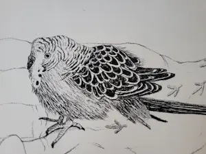 Judith Rosema - Vogel in hand kopen? Bied vanaf 35!