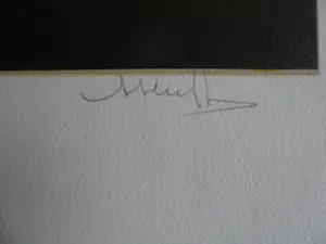 Herman Heuff - Litho. titel. "LES FLEURS MAGNIFIQUE ". kopen? Bied vanaf 35!