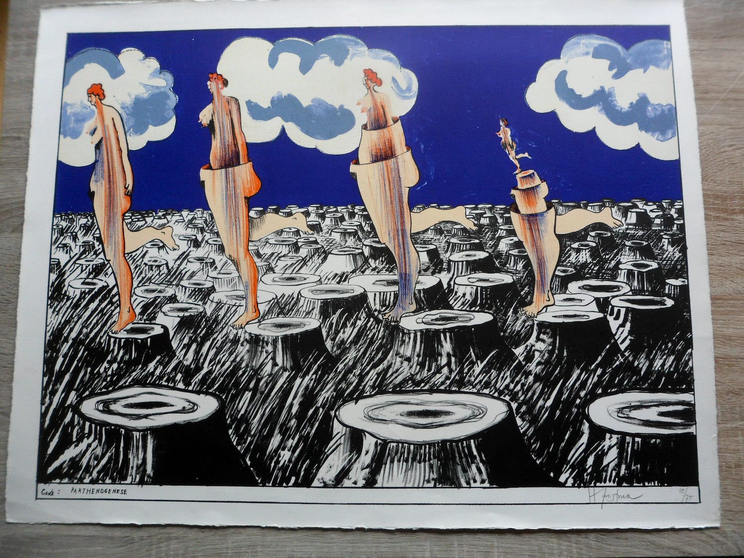 Hannes Postma - Litho, Kleine oplage (75 stuks) "code: Parthenogenese" kopen? Bied vanaf 30!