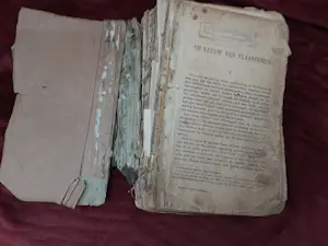 Antiquarisch Boek - De leeuw van Vlaanderen kopen? Bied vanaf 30!