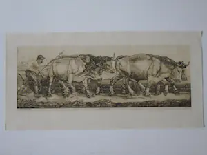 Pieter Dupont - Ploegende ossen kopen? Bied vanaf 125!