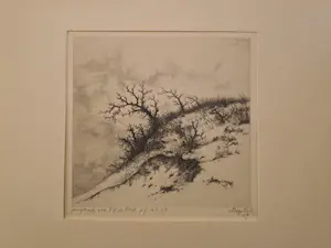 Dirk Harting - 'Duinlandschap' kopen? Bied vanaf 20!