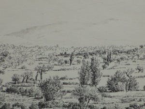 Gerard Lutz - Mediterraan landschap - Inkttekening kopen? Bied vanaf 1!